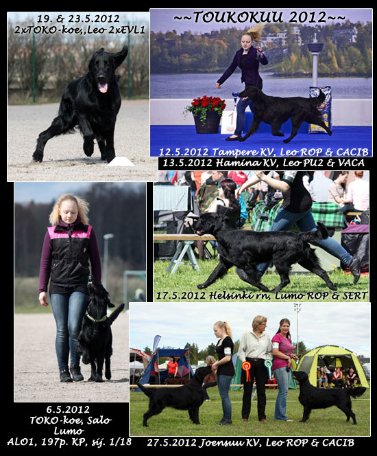 kuvat (c) Senni Husso & Tiia Sutinen