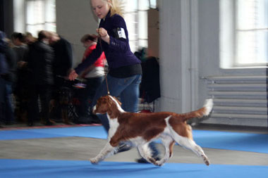 kuva � Senni Husso