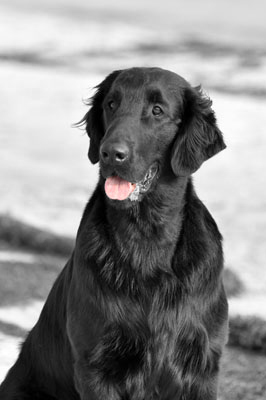 photo (c) Mia Lehtinen