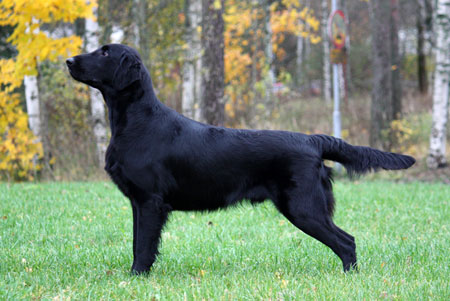 kuva (c) Senni Husso