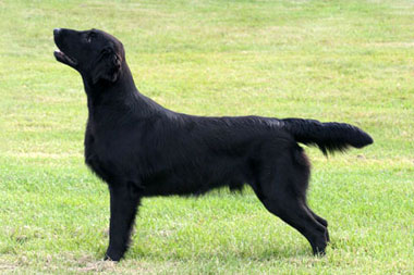 kuva (c) Olga Vorobjev