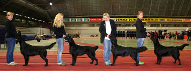 Kuvaa klikkaamalla voit n�hd� sen suurempana!