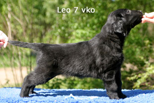 �Pilvi Inkinen & Anu Vorobjev