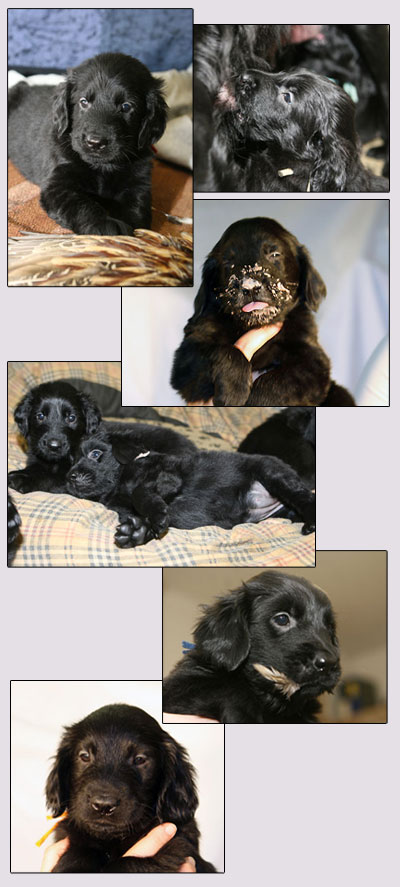 kuvat � Anu Vorobjev