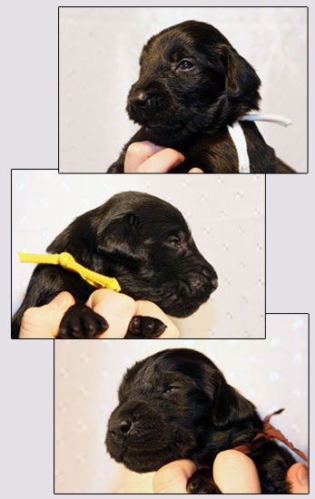 kuvat � Anu Vorobjev