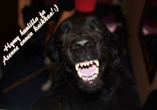 kuva (c) Senni Husso