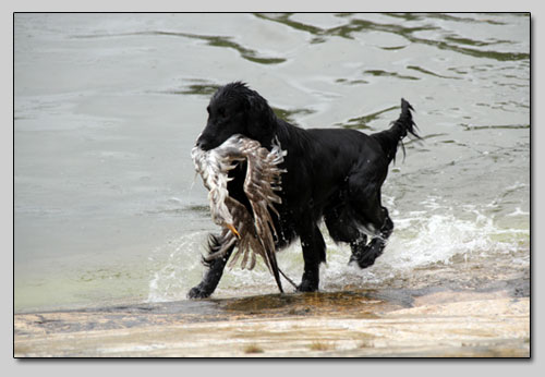 photo (c) Satu Saarinen